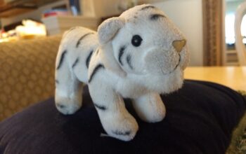 a stuffed animal tiger, Rocky