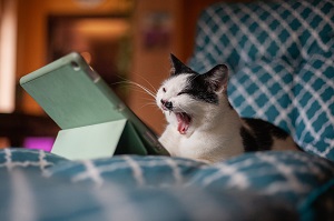 These 9 Mistakes Will Have Web Readers Fleeing Your Site
